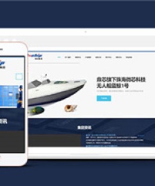 藍(lán)色科技網(wǎng)絡(luò)公司響應(yīng)式網(wǎng)站模板下載-HTML5模板