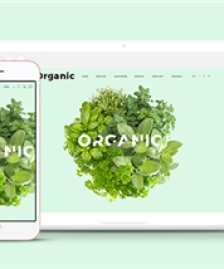 綠色有機蔬菜水果食品電商網(wǎng)站模板-HTML5模板