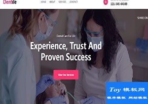 Dentile高端大氣引導(dǎo)式牙科醫(yī)院首頁網(wǎng)站模板-HTML5模板