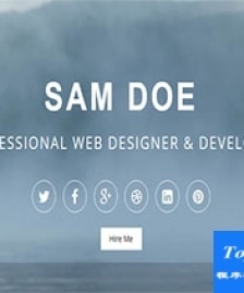 sam精致干凈簡約投資組合天藍色渲染網(wǎng)站模板