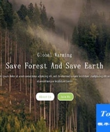 精品植保協(xié)會綠色生態(tài)響應(yīng)式web網(wǎng)站模板-手機模板