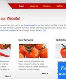tomato滑動紅色淺灰色微型站點網(wǎng)站模板
