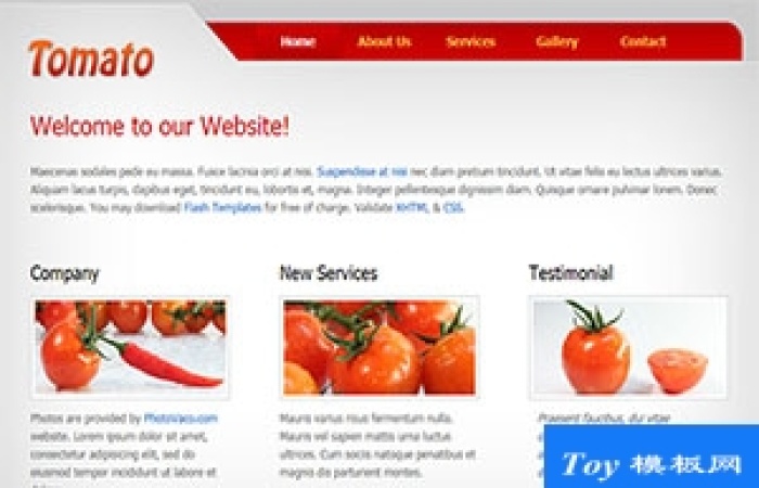 tomato滑動(dòng)紅色淺灰色微型站點(diǎn)網(wǎng)站模板-Toy模板網(wǎng)編號(hào)17580