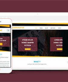 響應式黃色線條簡潔網(wǎng)站模板-HTML5模板