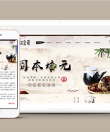 中國風水墨風格健康養(yǎng)生產(chǎn)品網(wǎng)站模板