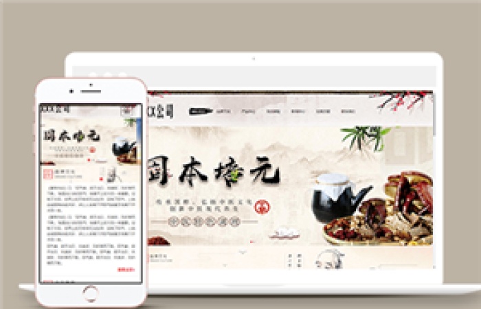 中國風(fēng)水墨風(fēng)格健康養(yǎng)生產(chǎn)品網(wǎng)站模板-Toy模板網(wǎng)編號14125