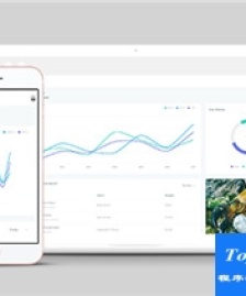清爽簡潔AdminWrap用戶中心后臺模板