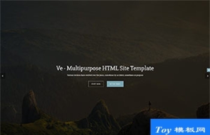 HTML5 & CSS3簡(jiǎn)潔響應(yīng)式bootstrap模板-Toy模板網(wǎng)編號(hào)19001