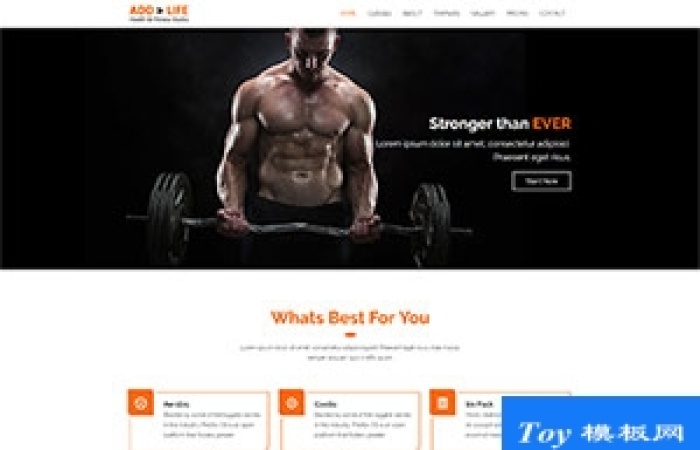 健身器材健美私教服務(wù)企業(yè)模板-Toy模板網(wǎng)編號(hào)19700