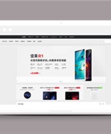 防錘子手機(jī)商城官網(wǎng)首頁網(wǎng)站模板