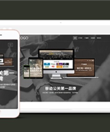 響應(yīng)式服務(wù)推廣信息科技公司網(wǎng)站模板
