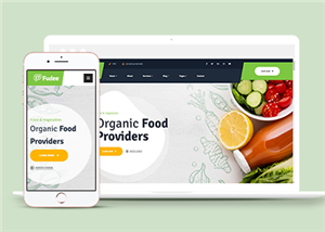 清新創(chuàng)意綠色有機(jī)食品供應(yīng)商網(wǎng)站模板-HTML5模板