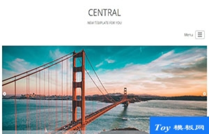 Central大氣響應(yīng)式商務(wù)機(jī)構(gòu)中央網(wǎng)站模板-Toy模板網(wǎng)編號(hào)17503