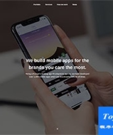 Mobile apps開發(fā)制作公司官網(wǎng)模板