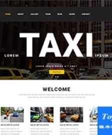 taxi出租車公司企業(yè)響應(yīng)式模板