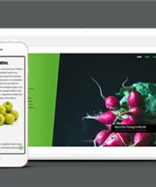大氣綠色HTML5農(nóng)業(yè)門戶網(wǎng)站模板