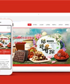 金融投資類響應(yīng)式紅色導(dǎo)航欄模板