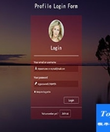 唯美注冊登錄響應(yīng)式單頁小部件web網(wǎng)站模板Profile