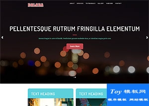 簡(jiǎn)單著陸頁(yè)bootstrap響應(yīng)式模板-HTML5模板
