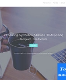 全屏幻燈淺綠色網(wǎng)站建設(shè)公司企業(yè)模板