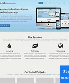 soft軟件開發(fā)企業(yè)官網(wǎng)模板-HTML5模板