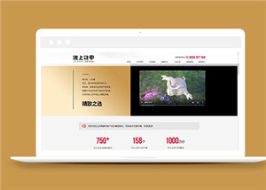 精美的花甲美食網(wǎng)站模板下載-HTML5模板