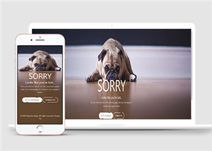 簡約可愛sorry404錯誤頁面小狗模板HTML5網(wǎng)站模板-HTML5模板