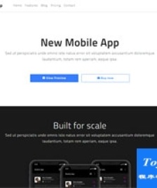 New Mobile App響應(yīng)式網(wǎng)站模板