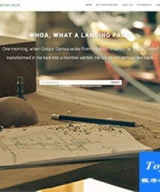 LANDING單頁響應(yīng)式bootstrap模板