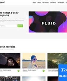 綠色簡潔軟件之家HTML5 & CSS3模板