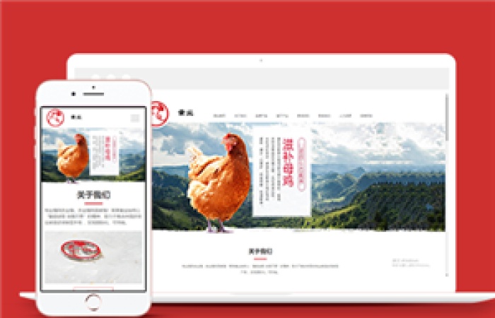 響應式家禽養(yǎng)殖基地類企業(yè)前端模板下載-Toy模板網(wǎng)編號10663