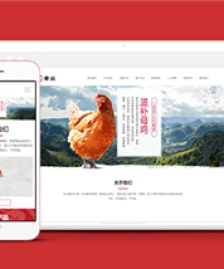 響應(yīng)式家禽飼養(yǎng)基地類企業(yè)前端CMS模板下載