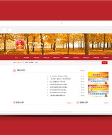 紅色事業(yè)單位人大資訊網(wǎng)類企業(yè)前端模板下載