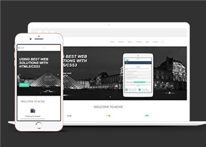 國外綠色網(wǎng)站建設(shè)公司html5模板下載-HTML5模板