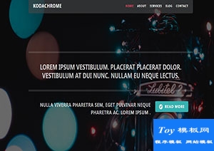 Kodachrom彩色燈光攝影響應(yīng)式web網(wǎng)站模板-CSS模板