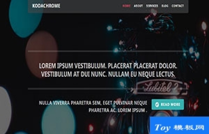 Kodachrom彩色燈光攝影響應(yīng)式web網(wǎng)站模板-Toy模板網(wǎng)編號(hào)17226