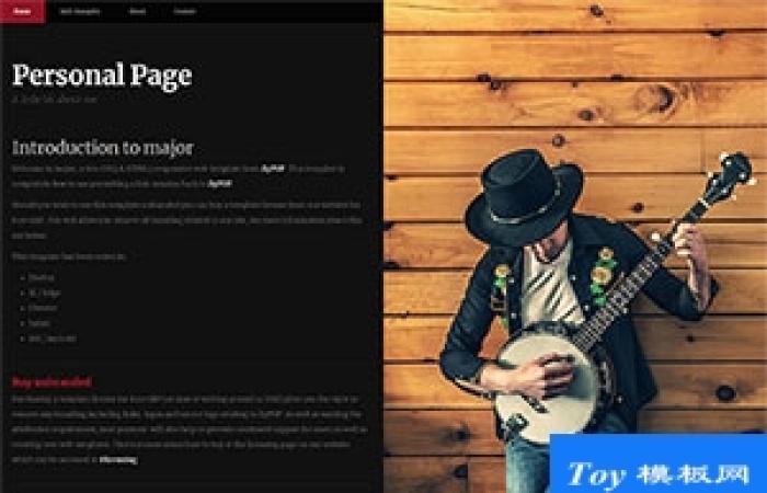 左右分欄全屏web簡歷html5模板-Toy模板網(wǎng)編號18225