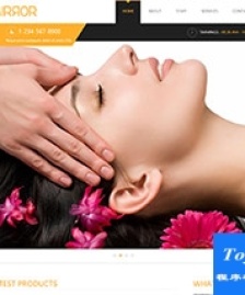 美容spa香薰護(hù)膚企業(yè)網(wǎng)站模板