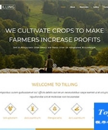 農(nóng)業(yè)蔬果培育技術(shù)企業(yè)網(wǎng)站模板-HTML5模板