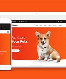 animal紅色ui溫馨寵物之家機(jī)構(gòu)引導(dǎo)式網(wǎng)站模板-HTML5模板