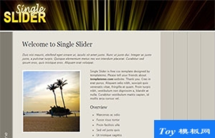 single slider可頁面轉(zhuǎn)換新穎背景圖像網(wǎng)站模板-Toy模板網(wǎng)編號17447