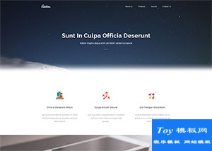 sublime科技媒體宣傳單頁模板-手機模板