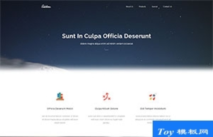 sublime科技媒體宣傳單頁模板-Toy模板網編號18206