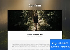 寬屏個人單頁博客響應(yīng)式html5模板-HTML5模板