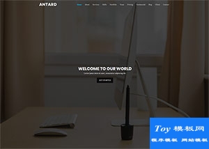 IT計(jì)算機(jī)金融服務(wù)公司bootstrap模板-HTML5模板