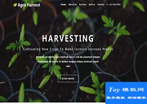 Agro Harvest寬屏綠色植物盆栽創(chuàng)新html模板