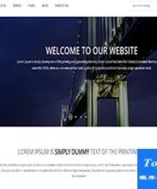 Lorem ipsum紫色星空企業(yè)運營博客web網(wǎng)站