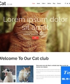 cat貓寵物醫(yī)院企業(yè)官網(wǎng)模板-HTML5模板