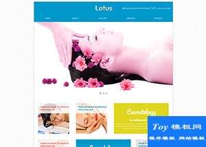 藍(lán)色漂亮美容護(hù)膚spa休閑html5模板-HTML5模板