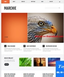 橙色外貿(mào)產(chǎn)品展示商務(wù)公司html5模板